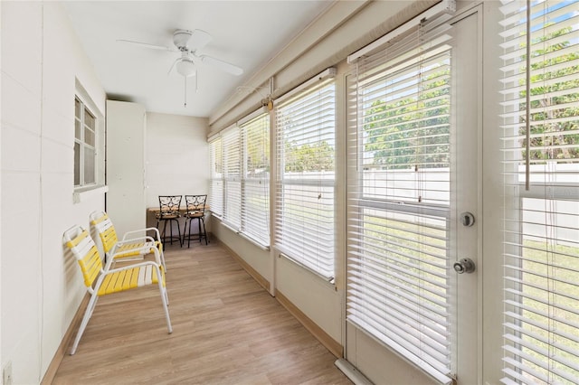 643 Park Cir, Bradenton, FL 34207 - sunroom / solarium with ceiling fan and wood finished floors