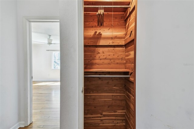 3001 Bay Shore Cir, Sarasota, FL 34234 - view of closet