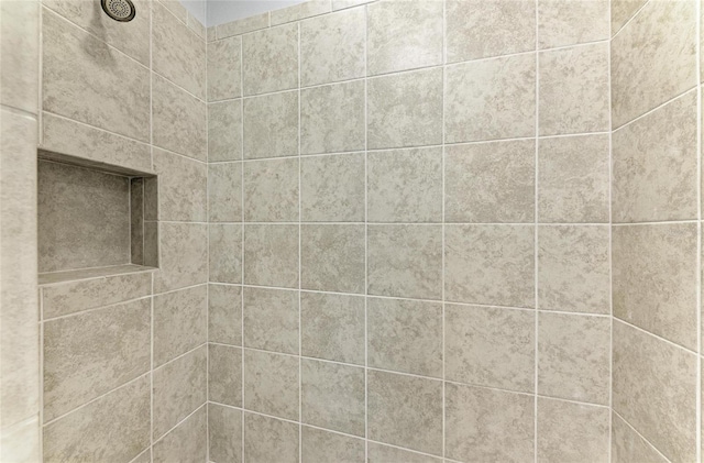 13609 Messina Loop Unit 104, Bradenton, FL 34211 - bathroom view of tiled shower