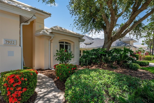 7952 Hampton Ct, University Park, FL 34201 - doorway to property with stucco siding and a tiled roof