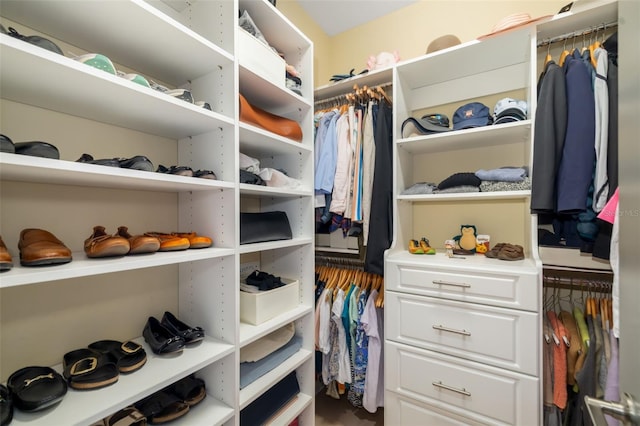 826 Honeyflower Loop, Bradenton, FL 34212 - view of walk in closet
