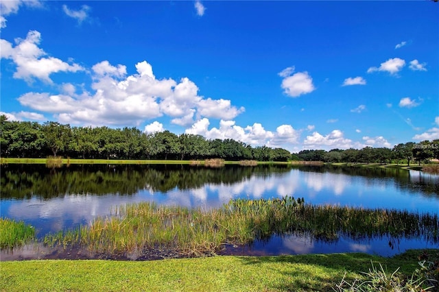 826 Honeyflower Loop, Bradenton, FL 34212 - water view with a heavily wooded area