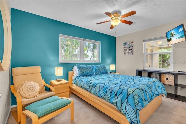 6731 Washington Pl, Bradenton, FL 34207 - bedroom with carpet, multiple windows, a textured ceiling, ceiling fan, and baseboards