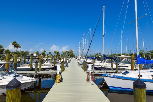 6731 Washington Pl, Bradenton, FL 34207 - dock with a water view