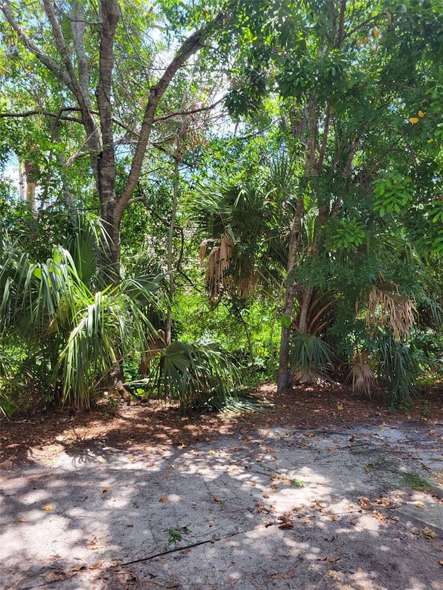 4835 Winslow Beacon Unit 46, Sarasota, FL 34235 - view of undeveloped land