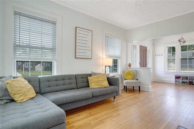 480 28th Ave N, Saint Petersburg, FL 33704 - living room with wood-type flooring, ornamental molding, and baseboards