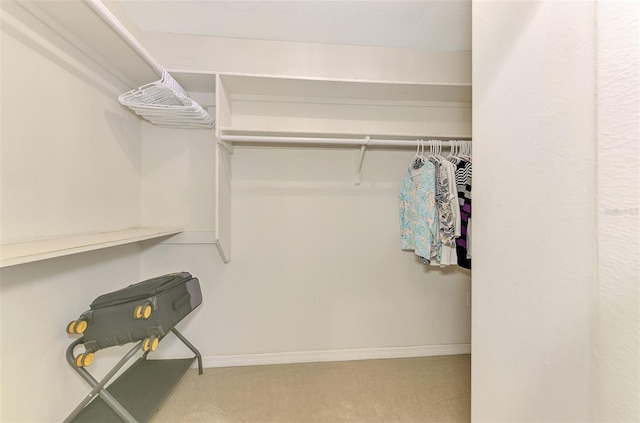 74 Windsor Dr, Englewood, FL 34223 - spacious closet featuring carpet floors