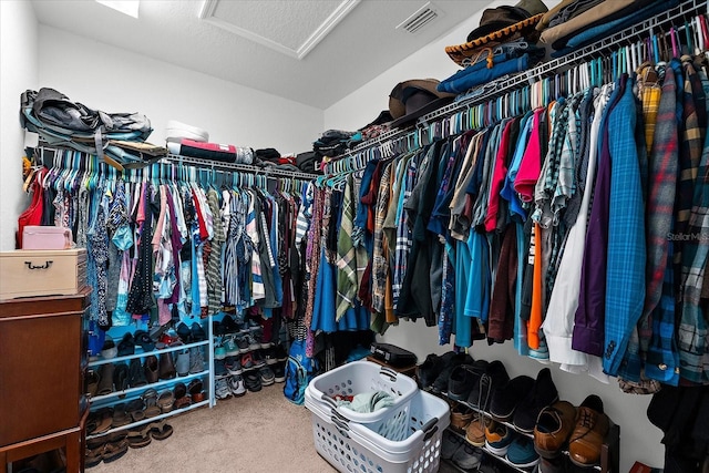 4644 Vignette Way, Sarasota, FL 34240 - spacious closet with attic access and carpet