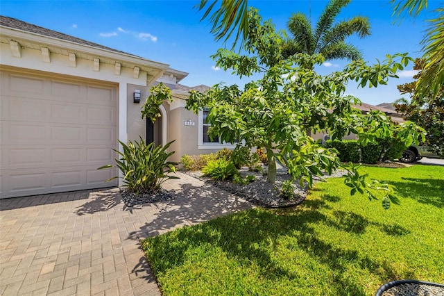 650 Rosemary Cir, Bradenton, FL 34212 - photo 6