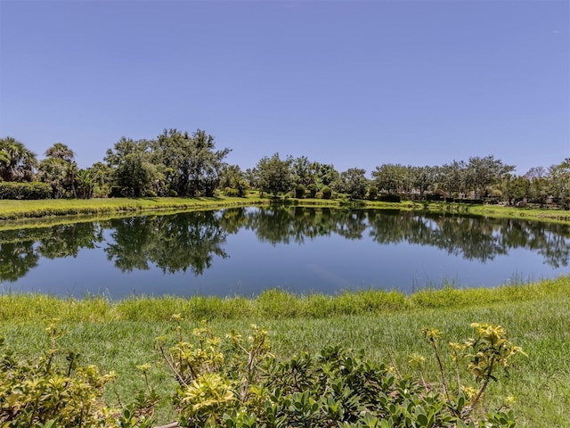 673 Crane Prairie Way, Osprey, FL 34229 - water view