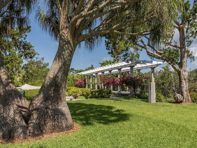 673 Crane Prairie Way, Osprey, FL 34229 - view of grassy yard featuring a pergola