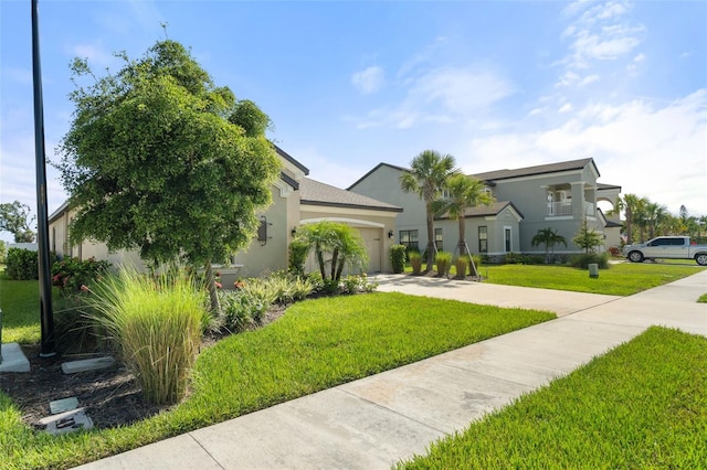 15316 Shady Palms Ln, Nokomis, FL 34275 - view of front of home featuring concrete driveway, an attached garage, stucco siding, and a front lawn