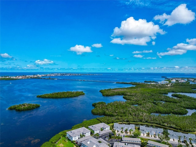 1316 Perico Point Cir, Bradenton, FL 34209 - aerial view of a large body of water