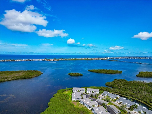 1316 Perico Point Cir, Bradenton, FL 34209 - bird's eye view of a nearby body of water