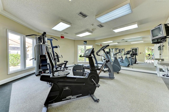 4057 Crockers Lake Blvd Unit 15, Sarasota, FL 34238 - exercise room with ornamental molding, a textured ceiling, and carpet floors