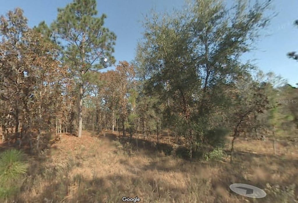 0 SW 26th Pl, Ocala, FL 34474 - photo 1
