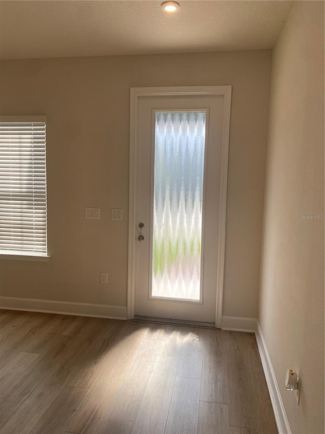 1710 Summer Rose Dr, Mount Dora, FL 32757 - entryway featuring wood finished floors and plenty of natural light