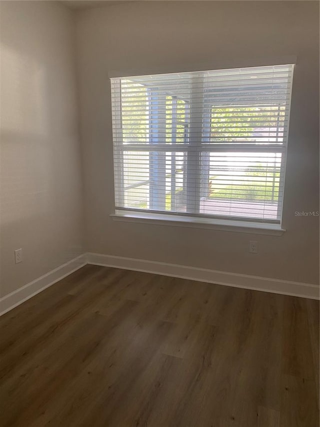 1710 Summer Rose Dr, Mount Dora, FL 32757 - unfurnished room featuring wood finished floors and plenty of natural light
