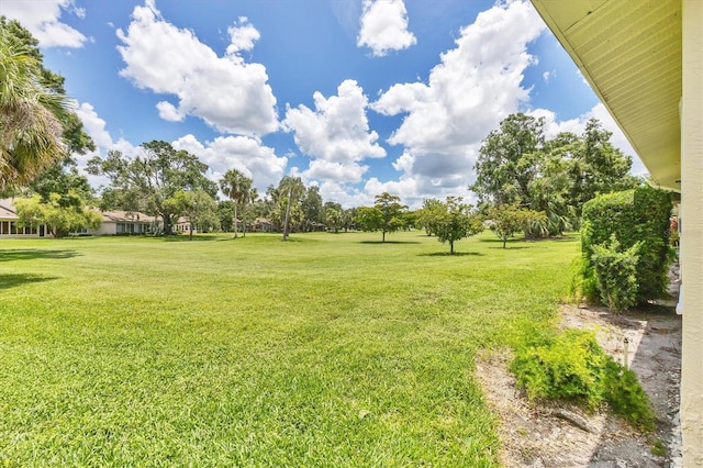 4131 Oakhurst Cir W Unit 3133, Sarasota, FL 34233 - view of grassy yard
