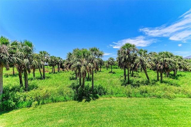 7820 34th Ave W Unit 102, Bradenton, FL 34209 - view of local wilderness