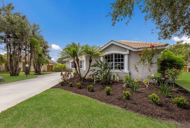 4998 Cedar Oak Way, Sarasota, FL 34233 - view of front of property with stucco siding, driveway, a front yard, and a tiled roof