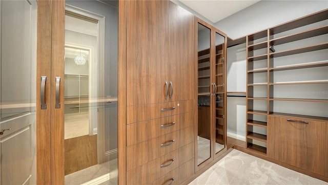 14665 Como Cir, Lakewood Ranch, FL 34202 - view of walk in closet