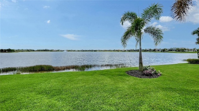 14665 Como Cir, Lakewood Ranch, FL 34202 - water view