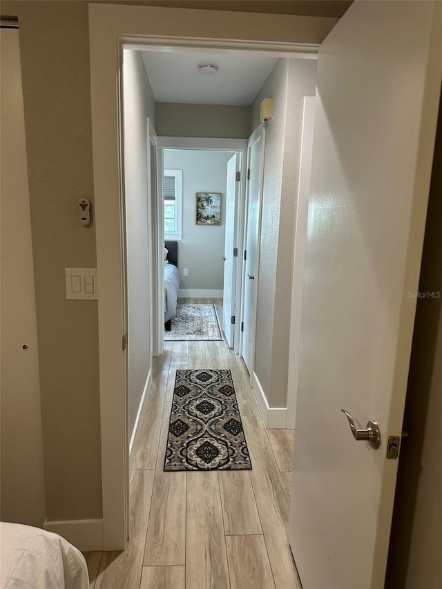 1840 3rd Ave E, Bradenton, FL 34208 - hall featuring light wood-style floors and baseboards
