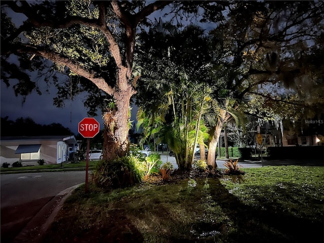1840 3rd Ave E, Bradenton, FL 34208 - view of yard