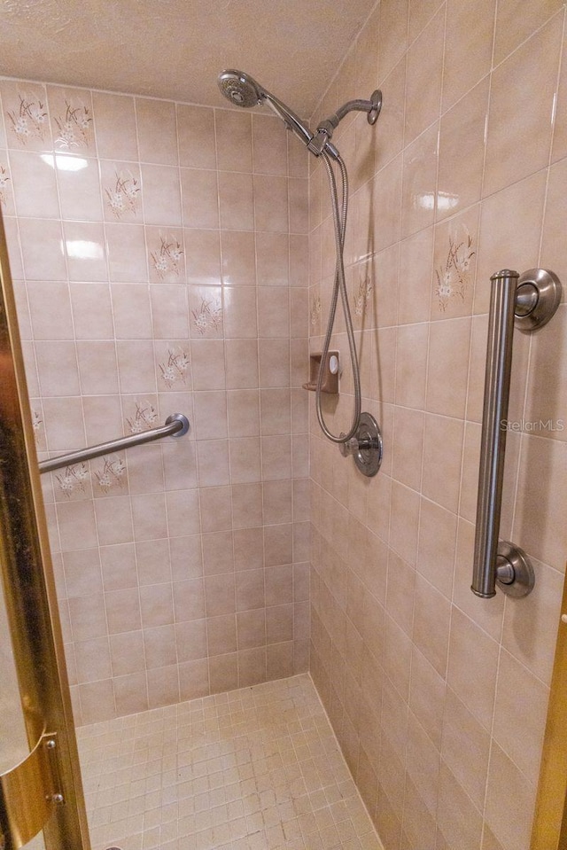 5213 20th Street Ct E, Bradenton, FL 34203 - bathroom with a tile shower