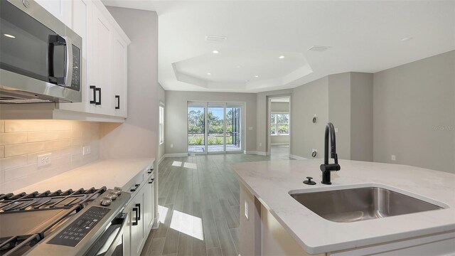 2321 Blue Mahoe Ln, Sarasota, FL 34240 - kitchen featuring stainless steel appliances, a sink, open floor plan, wood finished floors, and a raised ceiling