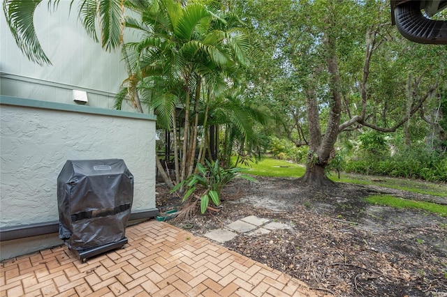 4637 Willow Wood Cir Unit 44, Sarasota, FL 34241 - view of patio featuring area for grilling