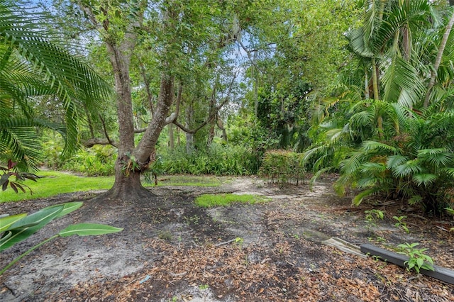 4637 Willow Wood Cir Unit 44, Sarasota, FL 34241 - view of undeveloped land