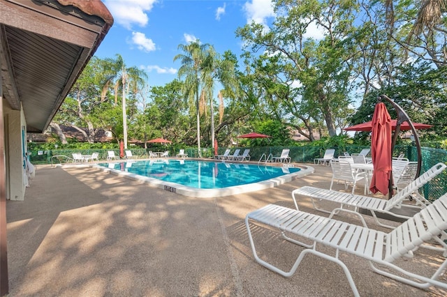 4637 Willow Wood Cir Unit 44, Sarasota, FL 34241 - community pool featuring a patio area