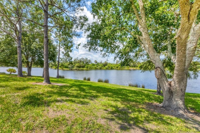13503 22nd Ct E, Parrish, FL 34219 - water view