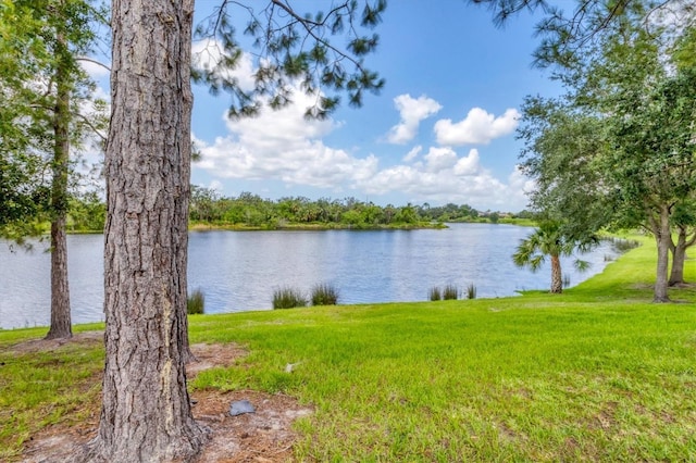 13503 22nd Ct E, Parrish, FL 34219 - water view