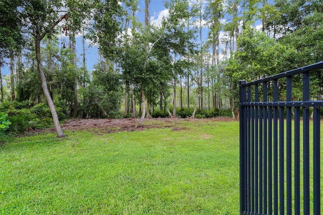 19351 Ranchview Ct, Land O Lakes, FL 34638 - photo 29