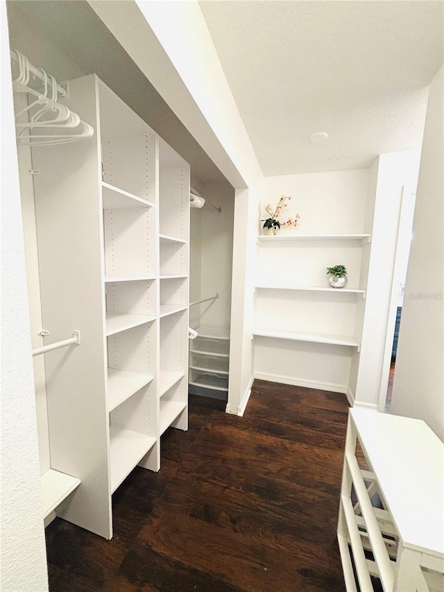 4907 Kilty Ct E, Bradenton, FL 34203 - walk in closet with dark wood finished floors