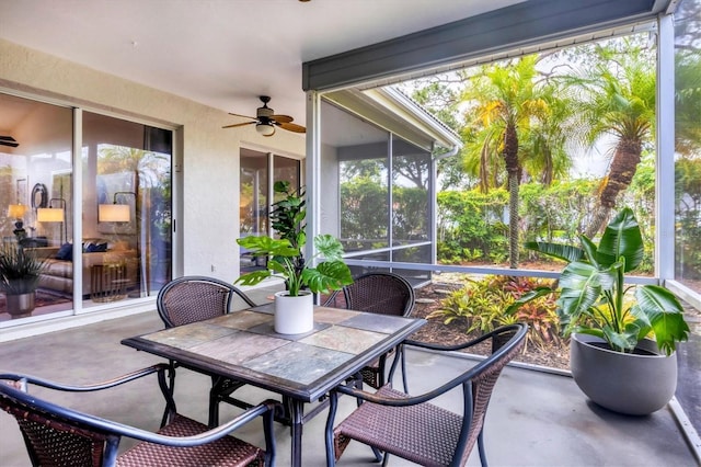 6929 Stetson Street Cir, Sarasota, FL 34243 - photo 29