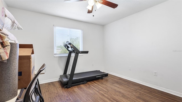 8804 Founders Cir, Palmetto, FL 34221 - exercise area with wood finished floors and a ceiling fan