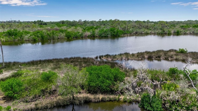 5935 River Forest Cir, Bradenton, FL 34203 - photo 82