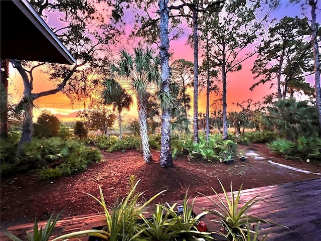5935 River Forest Cir, Bradenton, FL 34203 - photo 87