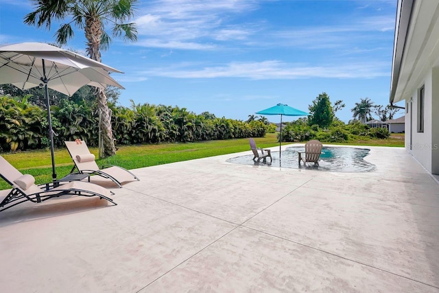 289 Long Meadow Ln, Rotonda West, FL 33947 - view of patio with an outdoor pool