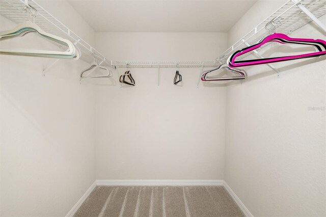 6923 Grand Estuary Trl Unit 101, Bradenton, FL 34212 - spacious closet featuring carpet flooring