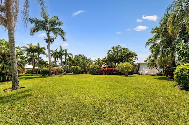 14544 Riverside Dr, Fort Myers, FL 33905 - view of grassy yard