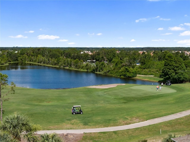 305 Siena Vista Pl, Sun City Center, FL 33573 - view of home's community featuring golf course view, a water view, and a lawn