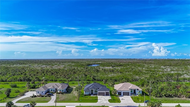 1167 Boundary Blvd, Rotonda West, FL 33947 - view of subject property with a forest