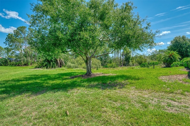 7302 Dunes Ct, Bradenton, FL 34202 - view of grassy yard