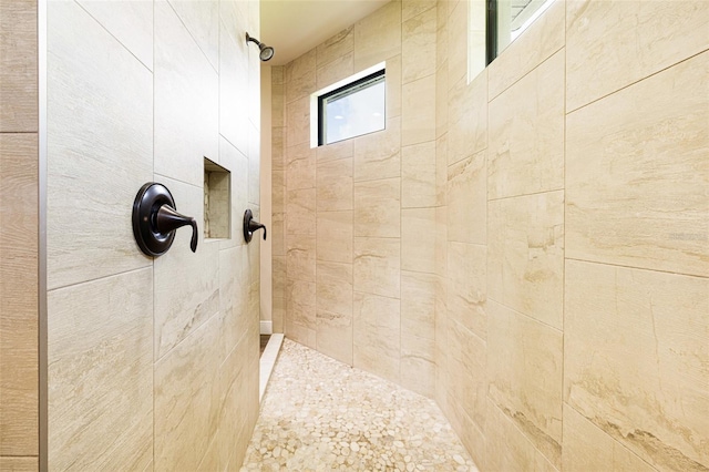 16630 Willow Point Ct, Alva, FL 33920 - full bathroom with a tile shower
