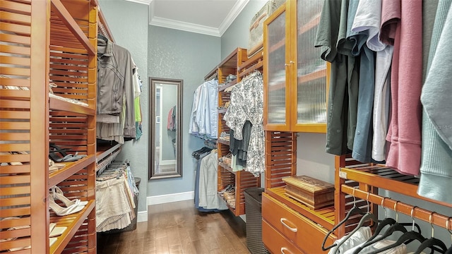 13220 Swiftwater Way, Lakewood Ranch, FL 34211 - walk in closet featuring dark wood-style flooring